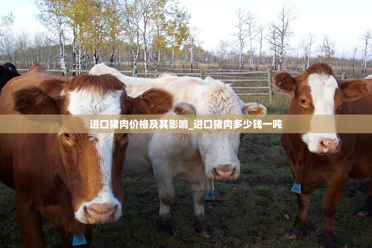 进口猪肉价格及其影响_进口猪肉多少钱一吨