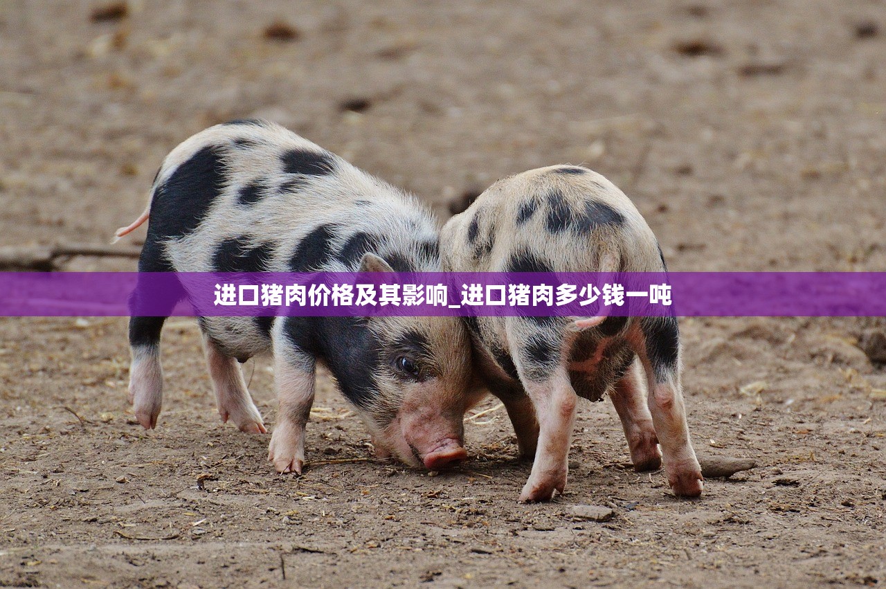 进口猪肉价格及其影响_进口猪肉多少钱一吨